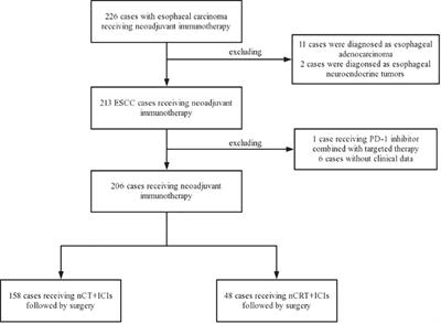 Comparison of neoadjuvant chemotherapy or chemoradiotherapy plus immunotherapy for locally resectable esophageal squamous cell carcinoma